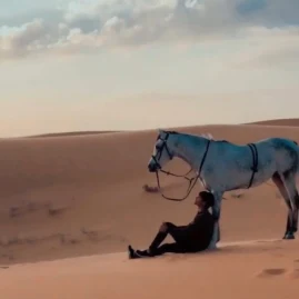 حاتم الشمري Tiktok ads