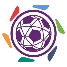 دورينا Tiktok ads