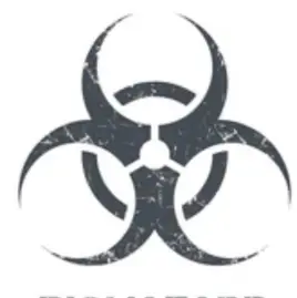 Biggie Clean Tiktok ads