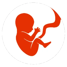 BitLife DE - Lebenssimulation Tiktok ads