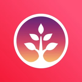 Photo Family Tree Tiktok ads