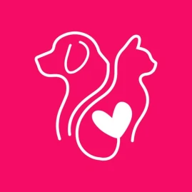 Pati Love Tiktok ads