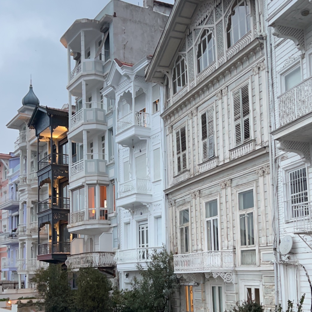 شوق البخيت🐈