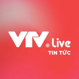 VTVLive Tin tức Tiktok ads
