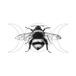 honeylunehivery Tiktok ads