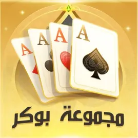 مجموعة بوكر Tiktok ads