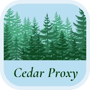 Cedar Proxy - Stable VPN Tiktok ads