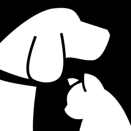 Sincere Pet Rewards Debit Card Tiktok ads