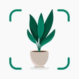Plantify: Plant Identifier Tiktok ads