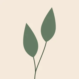 Eden : Routine & Focus to do Tiktok ads