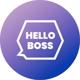 HelloBoss Tiktok ads