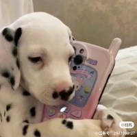 TreasureTroveTariq Tiktok ads