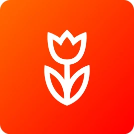 Flowwow_UAE Tiktok ads