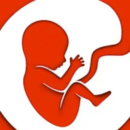 BitLife - Life Simulator Tiktok ads