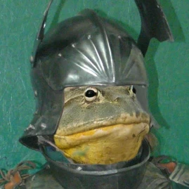 ArmorFrog Entertainment Tiktok ads