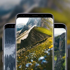 StyleMix Wallpaper Tiktok ads