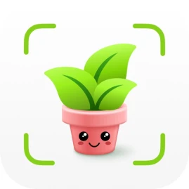 Plant Identifier & Care App Tiktok ads