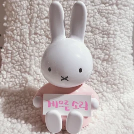 lazy sory 게으른 소리🐰 Tiktok ads