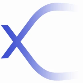 Maximum Sales Tiktok ads