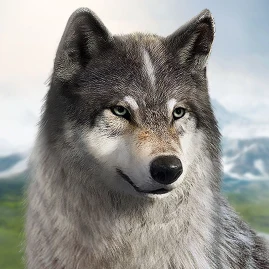 WolfGame🐺 Tiktok ads