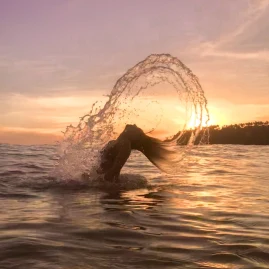 spellboundtravels Tiktok ads