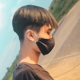 PRO STEFAN Tiktok ads