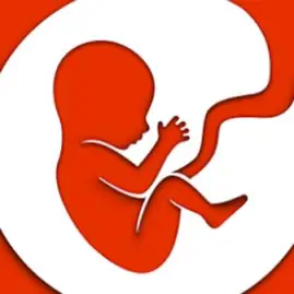 BitLife - Life Simulator Tiktok ads