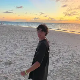 Tyleravallone Tiktok ads