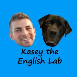 Kasey The Lab Tiktok ads
