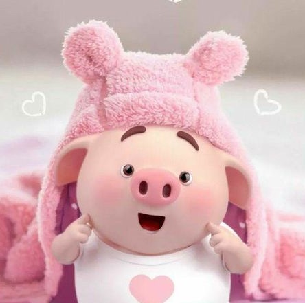 หมูน้อยรีวิว