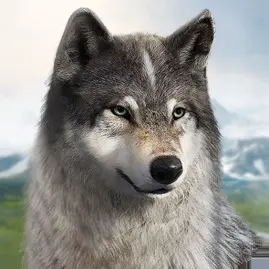 Wolf Game: Wild Animal Wars Tiktok ads