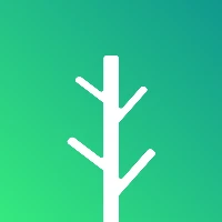 Albera 🌲 Tiktok ads