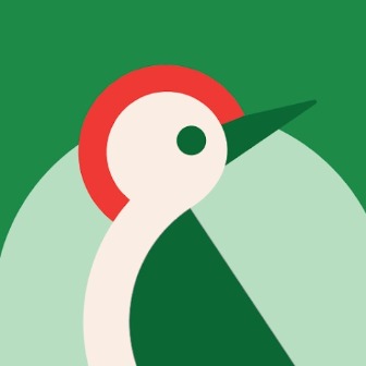 Taptap Send Bangladesh