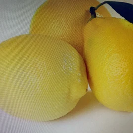 lemon8xiao Tiktok ads