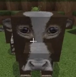 Revolt Tully Tiktok ads