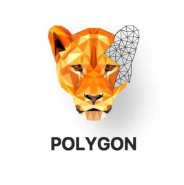polygon.app Tiktok ads