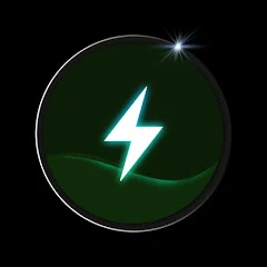 Charger Optimize Tiktok ads