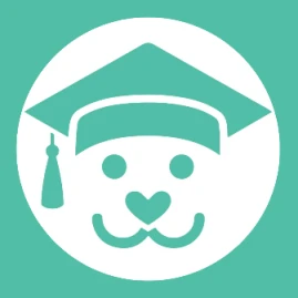 hundeo Hundetraining Tiktok ads