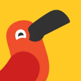 Cambly France Tiktok ads