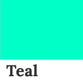 Color Frenzy! Tiktok ads