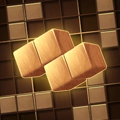 Wood Block: Sodoku Puzzle Tiktok ads