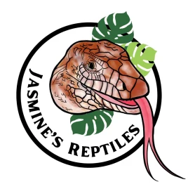 ✨🦎 Jasmine’s Reptiles 🦎✨ Tiktok ads
