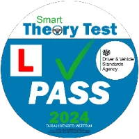 Smart Theory Test Tiktok ads