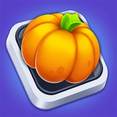 Match Manor Tiktok ads