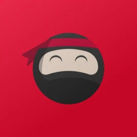 Ninja Van Biz Tiktok ads