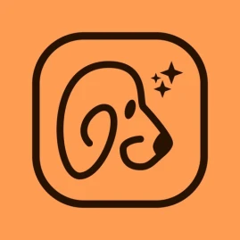 Petflix Picture Studio Tiktok ads