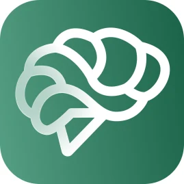 Ask AI App Tiktok ads