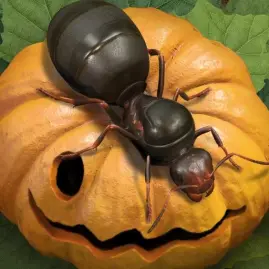 The Ants: Underground Kingdom Tiktok ads