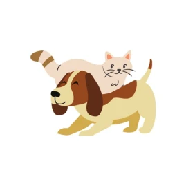 Adopt Animaux Tiktok ads