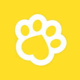 MMDC - Playdates for dogs Tiktok ads